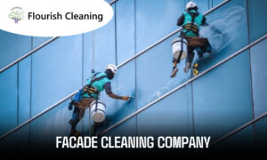 Facade Cleaning Company