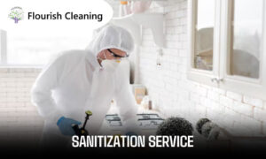 Sanitization Service