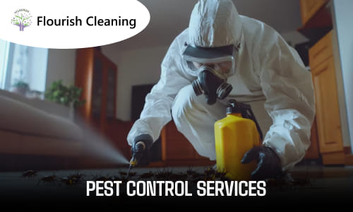 Pest Control Services