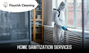 Home Sanitization Services