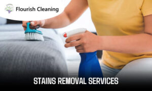 Stains Removal Services