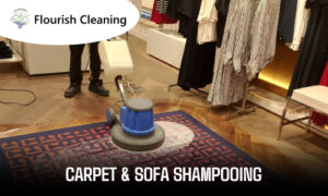 Carpet & Sofa Shampooing